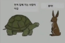 토끼와 거북이의 경주