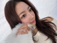하이키