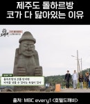 제주도 돌하르방 코가 다 닳아있는 이유