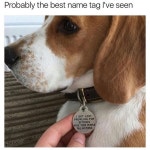 내가 본 최고의 이름표.jpg