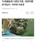 현재 논란중이라는 서울대공원 호랑이 미호 죽음 사건