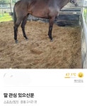 한 시골의 당근마켓