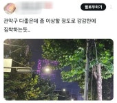 강감찬에 진심인 관악구