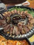 [ 츠캄몬스타즈 지두두 공지 ] 사테샘 넘 아쉽다