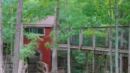 Scott Rolens friendship with Tyler Frenzel still resonates | St. Louis Cardinals Scott Rolens friendship with Tyler Frenzel... 