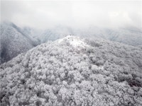 2박3일_메종글래드HOTEL_식도락여행/방림원/월령선인장마을/어승생악... 2박3일_메종글래드HOTEL_식도락여행/방림원/월령선인장마을/어승생악... 