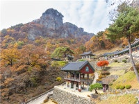 [KTX-모텔] 경상도 안동 1박2일  | NOL 인터파크투어 [KTX-모텔] 경상도 안동 1박2일 