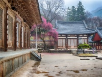 [KTX-모텔] 전라도일주 1박2일 <섬진강 줄기따라> | NOL 인터파크투어 [KTX-모텔] 전라도일주 1박2일 <섬진강 줄기따라>