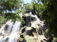 모두투어 - [항공포함][4인이상단독X우리가족여행] 세부 제이파크 리조트 5일(막탄 가든 뷰+리조트식 1회+노쇼핑) 01/09 APPP01KEF1