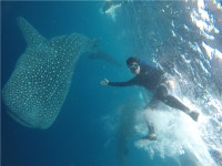 모두투어 - [항공포함][4인이상단독X우리가족여행] 세부 제이파크 리조트 5일(막탄 가든 뷰+리조트식 1회+노쇼핑) 01/09 APPP01KEF1