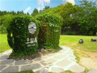 ◈김포출발-힐링의 섬♬◈ 제주도/송악산/곶자왈/사려니숲길+우도 3박4일[특가★]