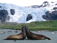 모두투어 - [홍콩에어텔]사이잉푼역 3분 - 라마다홍콩하버뷰 2박3일 [스냅촬영포함] 12/16 AHA412ZEH2