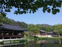 [리무진] 경상도 7번국도 1박2일 