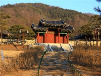 충청도 대전 당일여행 <장태산휴양림> | NOL 인터파크투어 충청도 대전 당일여행 <장태산휴양림>