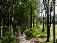 [포항항][모텔급] 울릉도 자유여행 3일 <도동번화가위치숙소/4인1실/무료짐보관서비스> | NOL 인터파크투어 [포항항][모텔급] 울릉도 자유여행... 