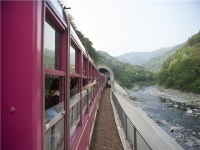 [V-train] 경상도 영주 당일여행 <분천산타마을과 함께하는 협곡열차2탄!> | NOL 인터파크투어 [V-train] 경상도 영주 당일여행... 