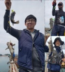 바다낚시 > 점주선장조황 > 안면도바다이야기 수진좌대 조황사진 안면도바다이야기 수진좌대 조황사진
