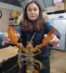 인천 소래바다낚시터 [소래랍스터하우스] 조황정보입니다.