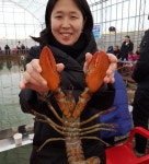 인천 소래바다낚시터 [소래랍스터하우스] 조황정보입니다.
