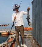 킹콩좌대낚시~목요일