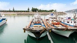 바다낚시 > 점주선장조황 > 8일 내만권 갈치 조황..