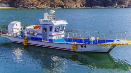 바다낚시 > 점주선장조황 > 진해 명동 명성호 1일 문어조황 입니다.