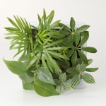 部屋のインテリア実例 ASHさん(Room No. 308007)の部屋 ｜ RoomClip（ルームクリップ）