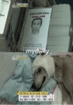 황구 학대범에 네티즌·연예인 분노봇물…`꼭 잡아달라` 서명 운동 - 마이데일리 황구 학대범에 네티즌&middot;연예인 분노봇물&hellip;꼭... 