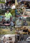 배정남, 글로벌 매력 통했다…카페 손님에 고백받아 [부산촌놈 in... 글로벌 매력 통했다&hellip;카페 손님에 고백받아 [부산촌놈 in 시드니]