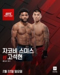 마이데일리