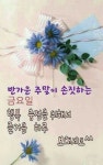 아침 인사 및 간단 날씨정보 | 택티컬아웃도어 넷피엑스