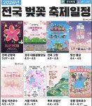 진해 군항제가 개막했네요 | 택티컬아웃도어 넷피엑스