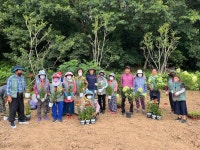 삼기면, 산보그늘정원 조성 ‘호응’:경인투데이뉴스 ≪경인투데이뉴스≫ 삼기면, 산보그늘정원 조성 ‘호응’
