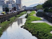 사상구, 학장천 안전사고 예방 종합대책 추진:경인투데이뉴스 ≪경인투데이뉴스≫ 사상구, 학장천 안전사고 예방 종합대책 추진