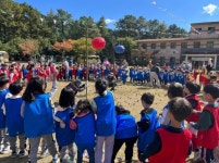 광양시, 백운산자연휴양림 2023년 숲속 작은 운동회 성료:경인투데이뉴스 ≪경인투데이뉴스≫ 광양시, 백운산자연휴양림 2023년 숲속 작은... 