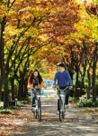 창원레포츠파크, 공영자전거 누비자 체험수기 공모전:경인투데이뉴스 ≪경인투데이뉴스≫ 창원레포츠파크, 공영자전거 누비자 체험수기 공모전