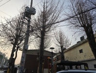 광진구, 봄맞이 어린이공원·소공원 수목 정비로 안전·도시 미관 향상:경인투데이뉴스 ≪경인투데이뉴스≫ 광진구, 봄맞이 어린이공원·소공원... 