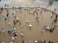 쿨~한 동향 수박축제 속으로 풍덩!!:내외신문 ≪내외신문≫ 쿨~한 동향 수박축제 속으로 풍덩!!