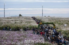 마포구, 월드컵공원·문화비축기지 등 변화모습 지식공유에 적극 | 뉴스로
