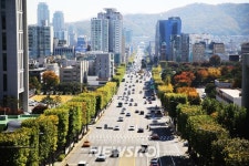 여기가 프랑스인가요? ‘이색 가로수길’ | 뉴스로