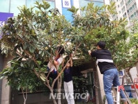 부산 금정구, ‘구서1동제(製) 건강효소 나눠요!’ | 뉴스로