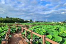 ‘대구 안심창조밸리’ 도시재생사업으로 새로운 관광명소가 되다! | 뉴스로