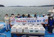 뉴스로 - 지자체가 보인다! - #주꾸미 | 뉴스로 - 지자체가 보인다! #주꾸미 | 뉴스로 - 지자체가 보인다!