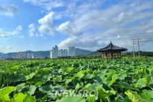 ‘대구 안심창조밸리’ 도시재생사업으로 새로운 관광명소가 되다! | 뉴스로