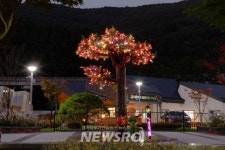 정선군 고한읍번영회, 희망나무 희망의 불 밝히기 행사 개최 | 뉴스로