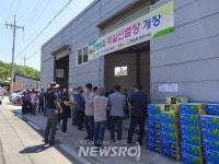 사천시, 2022년산 매실 곤명농협 초매식 | 뉴스로