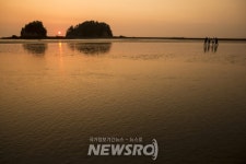 보령시, 올봄에는 ‘찾아가고 싶은 섬’ 장고도에서 섬캉스 어때요? | 뉴스로
