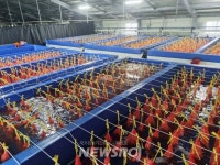 무안군, 무안 대표 수산물 낙지 자원 회복 위해 두 팔 걷어 | 뉴스로