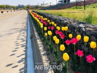 구미시, 낙동강 108억 원 투입해 관광지로 육성한다 | 뉴스로