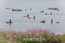 하동군, FAO 실사단 방한 재첩 산지 섬진강 일원 현장실사 실시 | 뉴스로